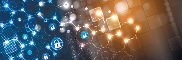 Networking Service Fees & Shareholder Accounting